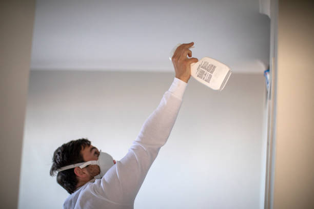 Best Home Mold Removal  in Rio Rancho, NM
