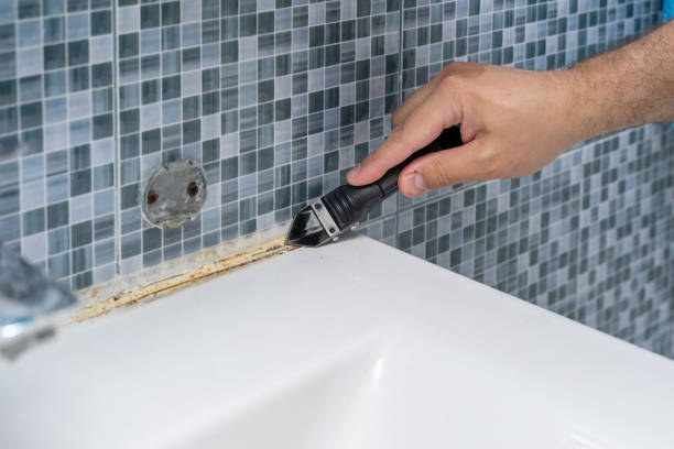 Best Mold Cleaning Services  in Rio Rancho, NM